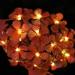 Solar Garden Decoration Garden LED Lights