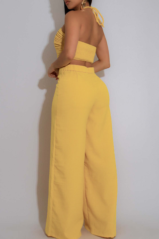 Black Casual Solid Color Draw String Backless Halter Sleeveless Two Pieces