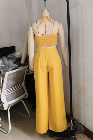 Black Casual Solid Color Draw String Backless Halter Sleeveless Two Pieces