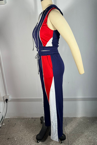 Tibetan Blue Casual Zipper Contrast Zipper Collar Sleeveless Two Pieces