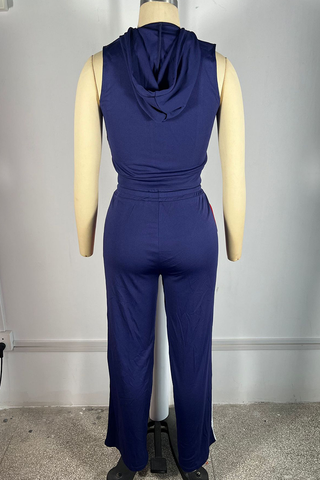 Tibetan Blue Casual Zipper Contrast Zipper Collar Sleeveless Two Pieces