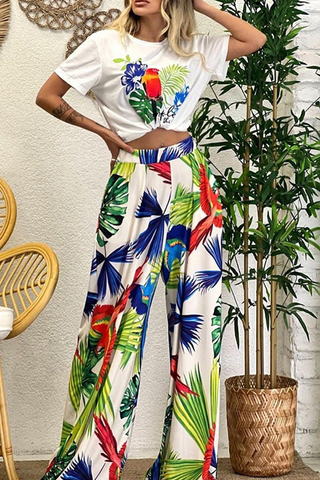 Multi-color Casual Print O Neck Short Sleeve Two Pieces